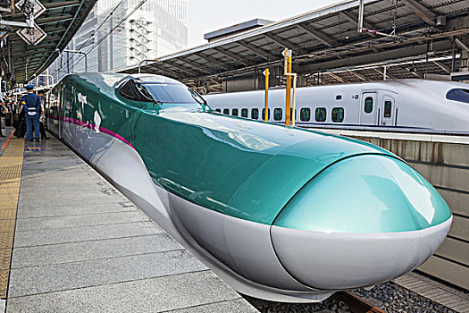 日本,本州,东京,火车站,东京站,新干线,高速列车,子弹头列车