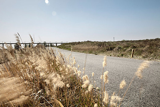 盘山公路