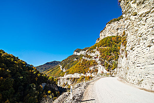 道路,峡谷,河,山,车臣,俄罗斯,欧洲