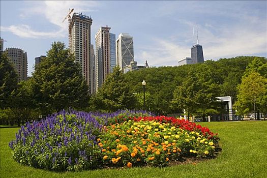 花,花园,摩天大楼,背景,海军码头,芝加哥,伊利诺斯,美国