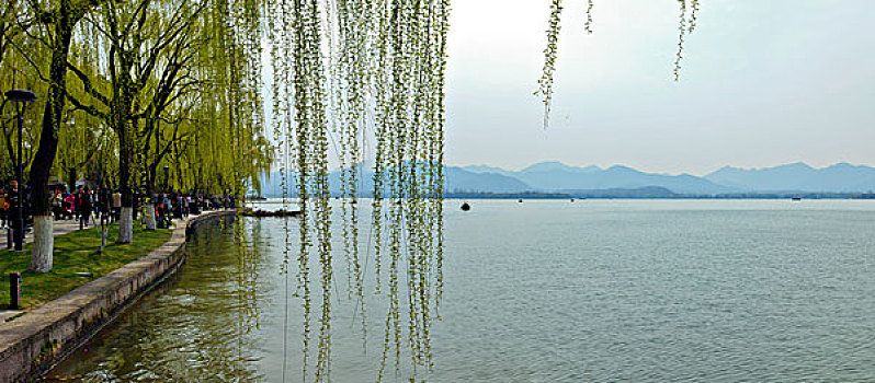 西湖十景,柳浪闻莺