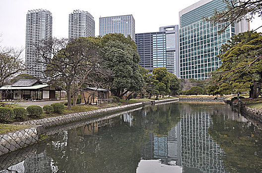 哈马,东京,日本