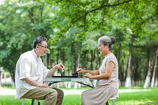 幸福的老年夫妇在公园下棋