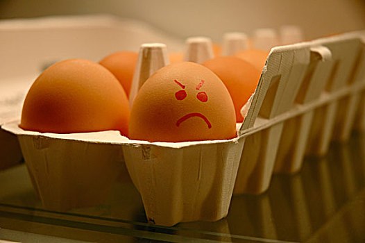 纸盒,蛋,一个,鸡蛋,展示,愤怒,脸