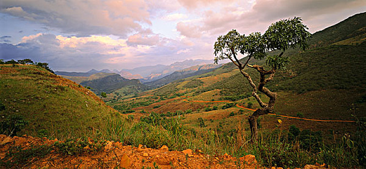 风景,坦桑尼亚,非洲