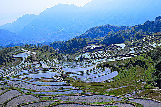 中国最美梯田,浙江丽水云和梯田