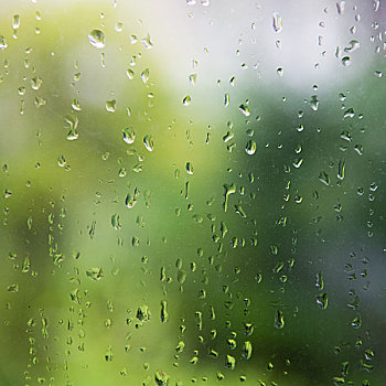 自然,水滴,窗玻璃,绿色背景
