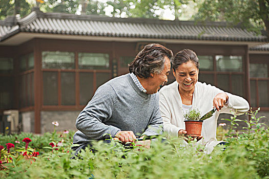 微笑,老年,夫妻,花園