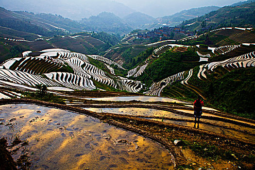 广西,桂林,龙脊,金坑,红瑶梯田,西山韶乐