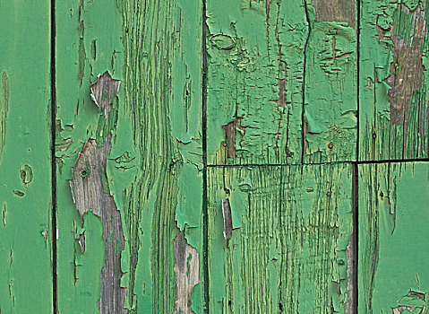 风化,木质,墙壁,绿色,涂绘,背景