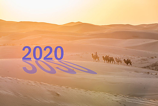 2020新年开始夕阳下的沙漠骆驼队背景