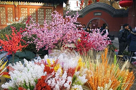 中国,北京,春节,花,展示,地坛,公园,庙宇