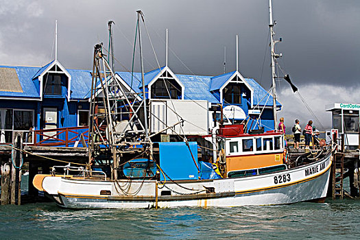 渔船,码头,阿卡罗瓦,班克斯半岛,坎特伯雷,南岛,新西兰