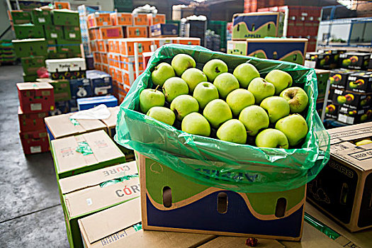 盒子,青苹果,农产品,新鲜,市场,比勒陀利亚,南非