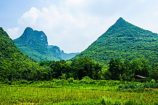 桂林田园风光