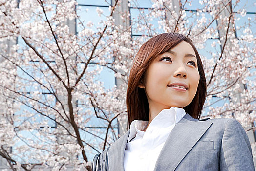站在樱花树下的年轻女性