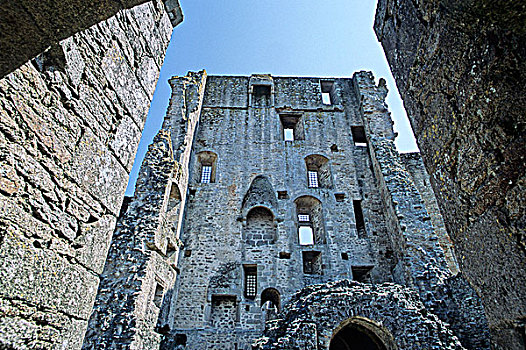 法国,卢瓦尔河地区,大西洋卢瓦尔省,城堡,遗址,13世纪
