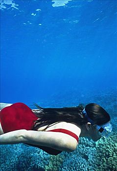 夏威夷,夏威夷大岛,霍那吾那吾,湾,水下视角,女性,跳水