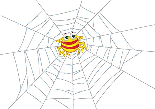 蜘蛛,网