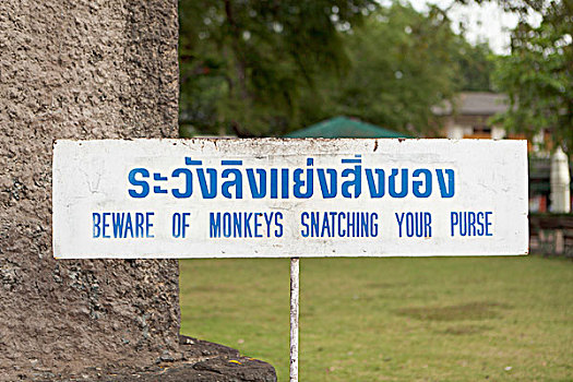 标识,警告,猴子,户外,神祠,中心,泰国,亚洲