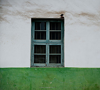装饰,绿色,窗户,老,白色,粉饰灰泥,墙壁