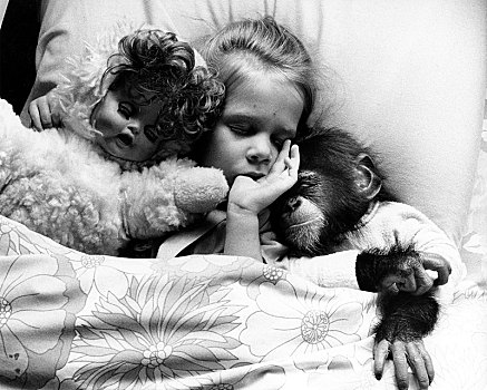 女孩,床上,黑猩猩,娃娃,英格兰,英国
