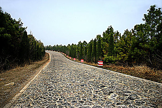 安徽定远比利时石块路路汽车试验场