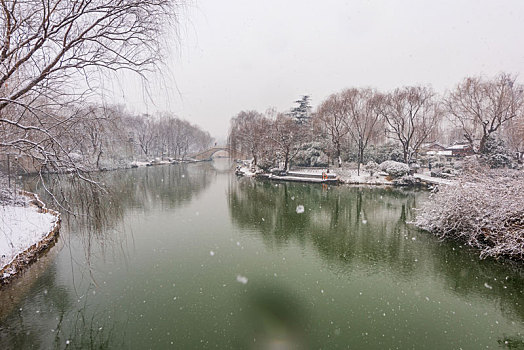 济南冬日雪景