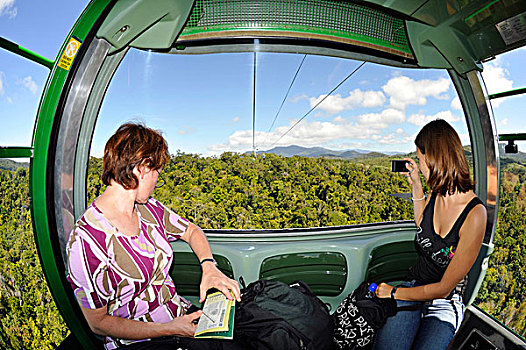 乘客,雨林,索道,线缆,世界,库兰达,乡村,阿瑟顿台地,昆士兰,澳大利亚