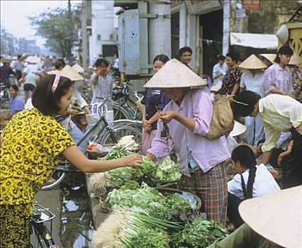 女人,销售,莴苣,街边市场,河内