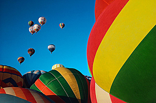 热气球,节日,阿布奎基,新墨西哥,美国