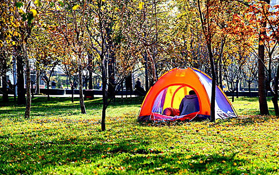 草坪上的帐篷