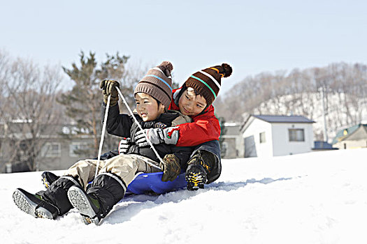 孩子,雪橇运动