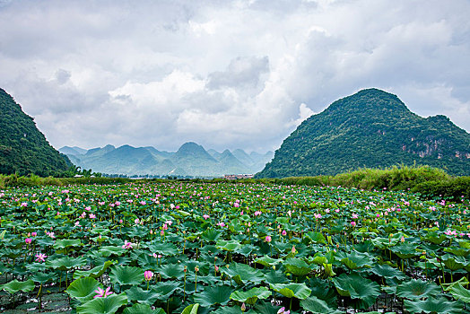 云南省文山州丘北县普者黑景区