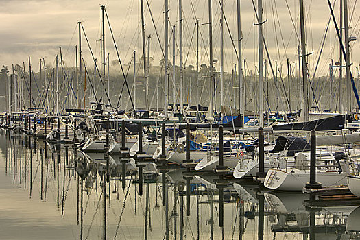 帆船,码头,旧金山,加利福尼亚,美国