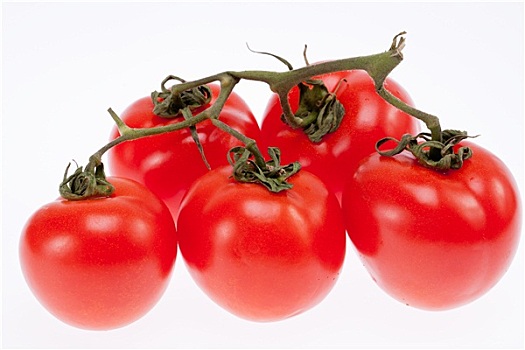 多,成熟,红色,西红柿,隔绝,白色背景,背景
