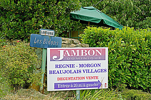 交通标志,博若莱葡萄酒,酒乡,罗纳河谷,法国