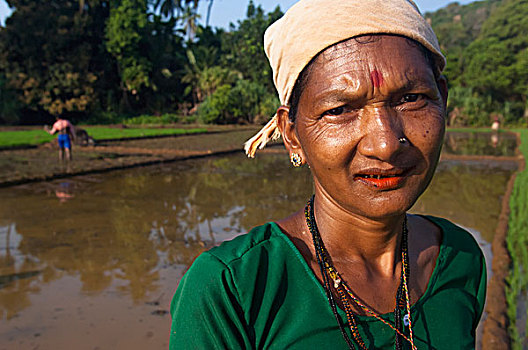 印度,头像,女工,稻田