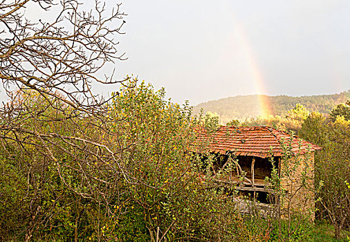 漂亮,彩虹,上方,小屋,木头