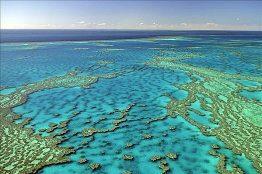 岸礁堡礁环礁图片