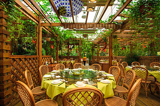 餐厅,绿色,生态