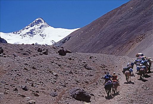 阿根廷,驴,拿,攀登器材,向上,山谷,攀升,阿空加瓜山