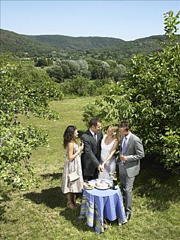 婚礼,伴侣,切,蛋糕,花园