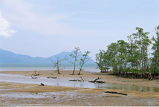巴戈国家公园,婆罗洲,马来西亚