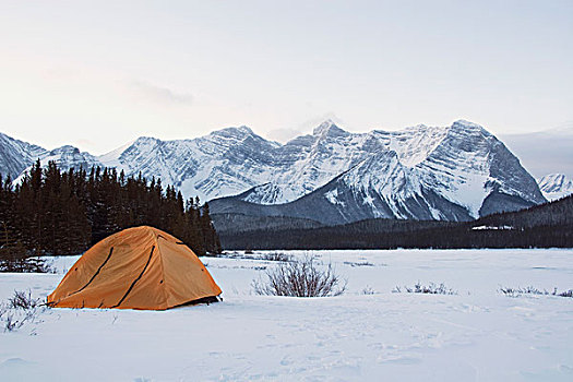 帐蓬,积雪,草地,卡纳纳斯基斯县,艾伯塔省,加拿大
