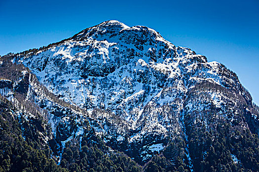 特写,山顶,山,波多黎各,纳韦尔瓦皮,国家公园,阿根廷