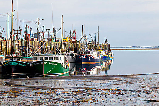 渔船,捆绑,码头,退潮,芬地湾,新斯科舍省,加拿大
