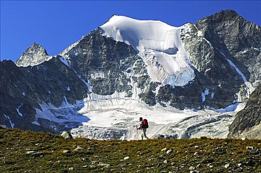 远足者,走,仰视,顶峰,瓦莱,阿尔卑斯山,瑞士,欧洲