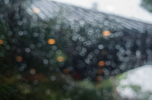 下雨天模糊的光斑