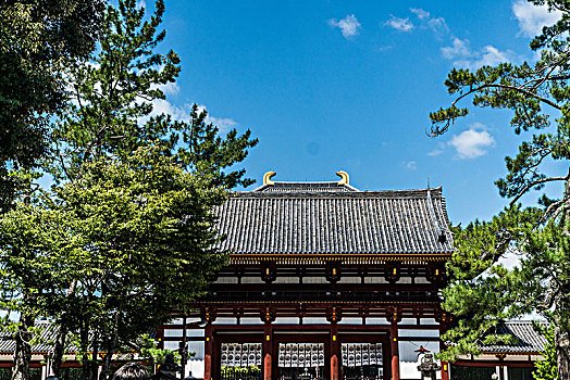 日本城市风景